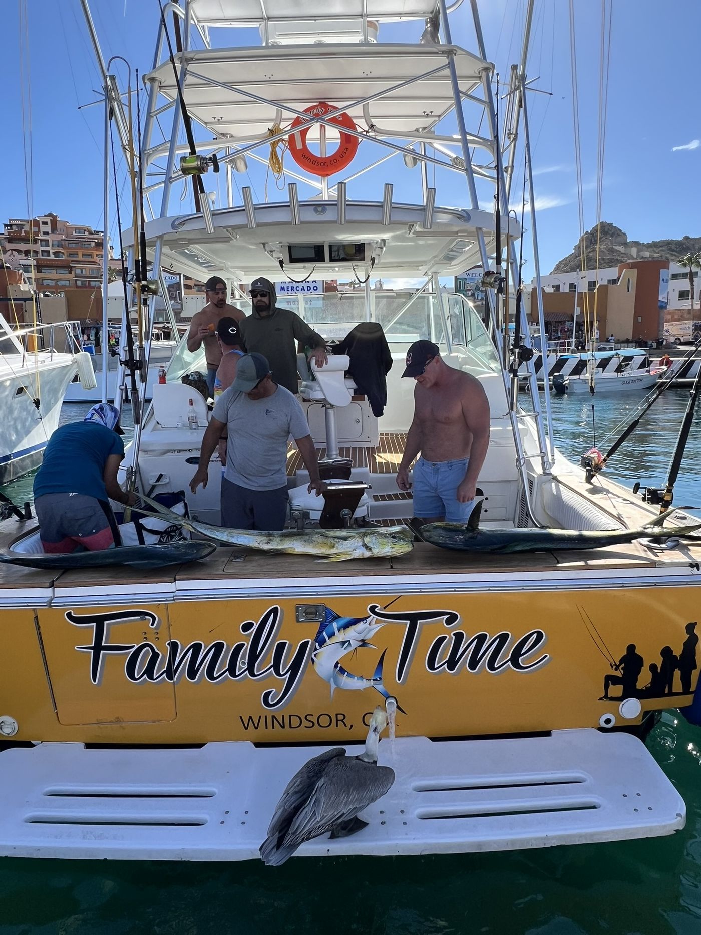A pelican on the swim platform under the Family Time lettering